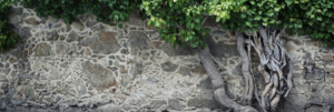DWEC_Group_Featured_Image_13