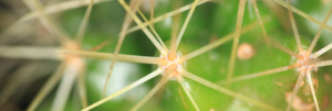 DWEC_Group_Featured_Image_14