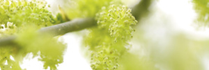 DWEC_Group_Featured_Image_16